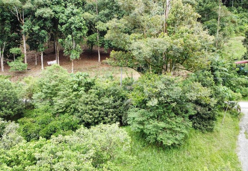  (Ada Anak Sungai, Akses Cantik) Tnh Pembangunan 7.9 Ekar, Jln Felcra Semungkis, Batu 14, Hulu Langat