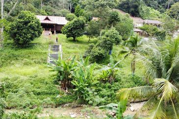  (Ada Anak Sungai, Akses Cantik) Tnh Pembangunan 7.9 Ekar, Jln Felcra Semungkis, Batu 14, Hulu Langat