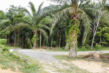  (Freehold, Berbukit)Tanah Pertanian 5.22 Ekar di Kg Peradong, Kuala Klawang, Jelebu, Negeri Sembilan