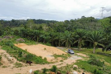  (Freehold, Berbukit)Tanah Pertanian 5.22 Ekar di Kg Peradong, Kuala Klawang, Jelebu, Negeri Sembilan