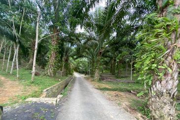  (Freehold, Berbukit)Tanah Pertanian 5.22 Ekar di Kg Peradong, Kuala Klawang, Jelebu, Negeri Sembilan