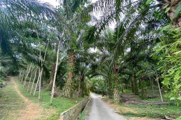  (Freehold, Berbukit)Tanah Pertanian 5.22 Ekar di Kg Peradong, Kuala Klawang, Jelebu, Negeri Sembilan