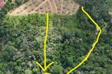  (Freehold, Berbukit)Tanah Pertanian 5.22 Ekar di Kg Peradong, Kuala Klawang, Jelebu, Negeri Sembilan