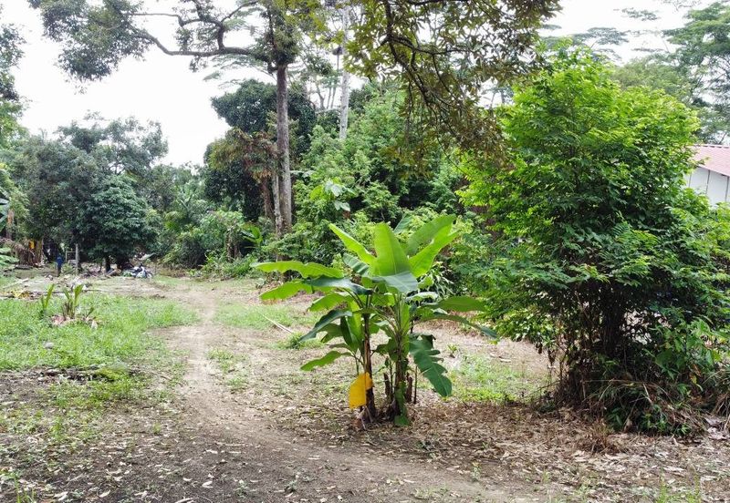 (Tepi Jalan, Freehold, Next To Elmina Industrial Park) Tanah Pembangunan 1.125 Ekar, Kampung Merbau Sempak, Sg Buloh