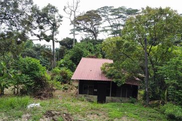 (Tepi Jalan, Freehold, Next To Elmina Industrial Park) Tanah Pembangunan 1.125 Ekar, Kampung Merbau Sempak, Sg Buloh