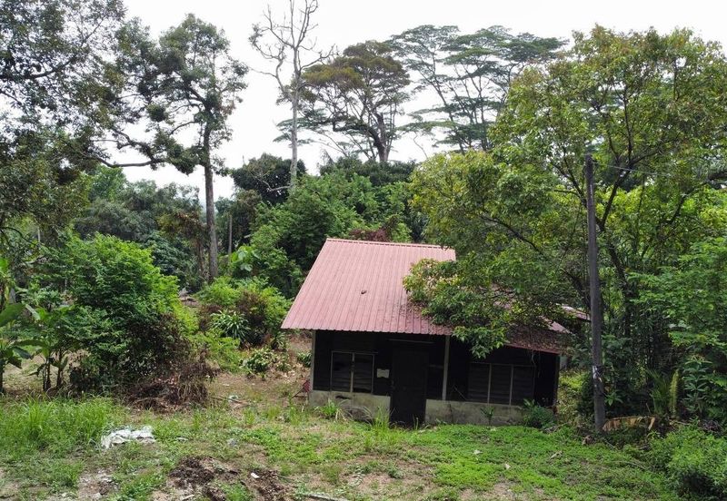 (Tepi Jalan, Freehold, Next To Elmina Industrial Park) Tanah Pembangunan 1.125 Ekar, Kampung Merbau Sempak, Sg Buloh