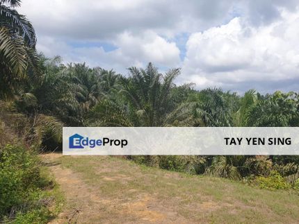 Agricultural Land For Sale, Pahang, Daerah Rompin