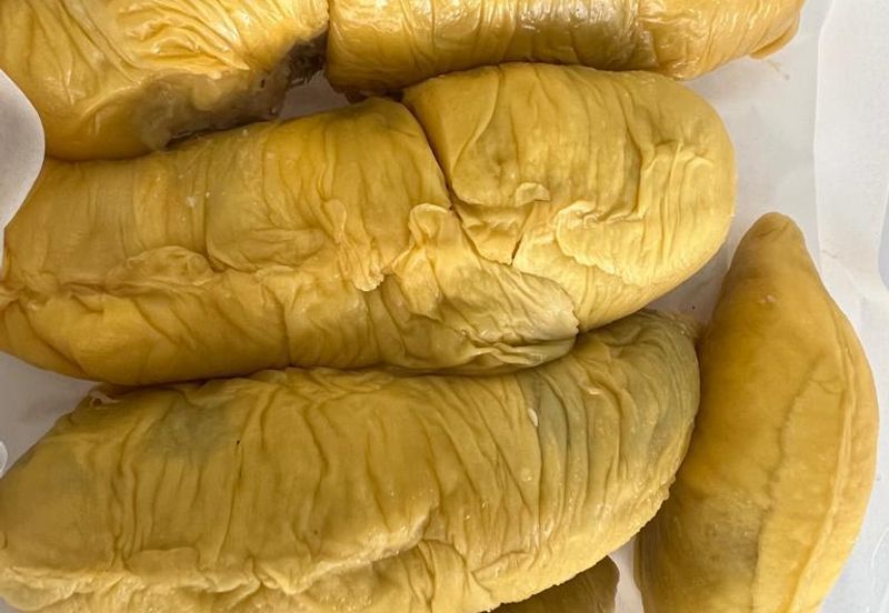 Durian Farm at Raub Pahang for Sale , Freehold