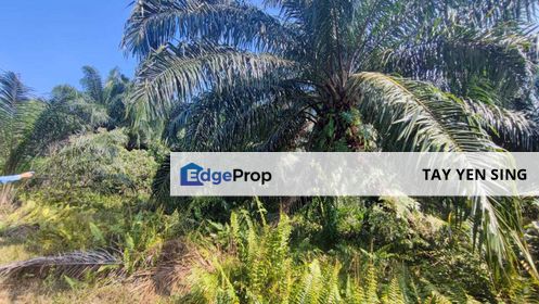 Johan Setia near Gamuda cove , 2.5 acres agricultural land for sale, Selangor, Telok Panglima Garang