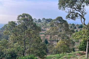 Negeri Sembilan,  Manting