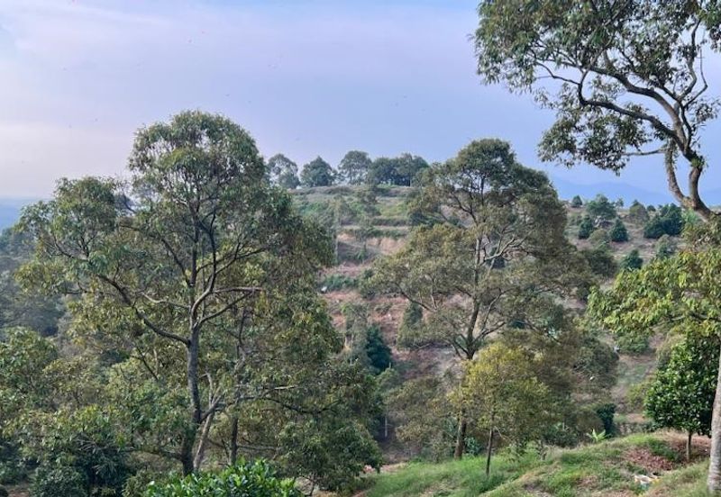 Negeri Sembilan,  Manting