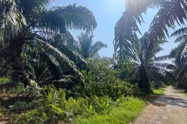 5 Acres Agricultural Land, Zooning Industrial, Telok Panglima Garang