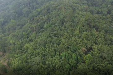 Ulu Yam Agriculture Land for Sale Zoning Residential