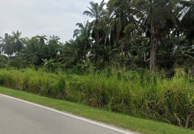 Banting Zoning Industrial Land For Sale, Freehold 