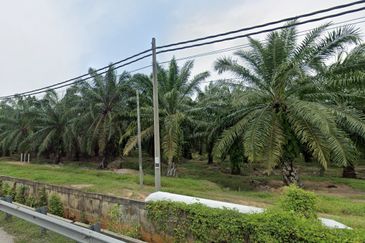 Banting Zoning Industrial Land For Sale, Freehold 