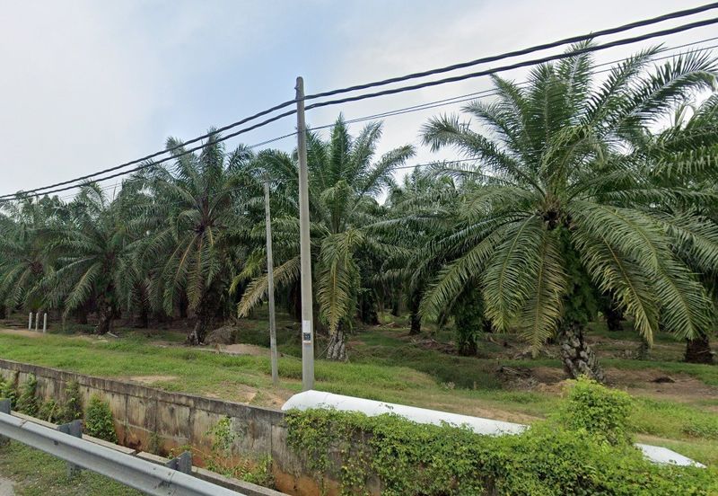 Banting Zoning Industrial Land For Sale, Freehold 