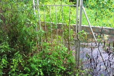 Taman Petunia Impian @ Section 29