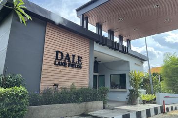 Lake Fields - Dale