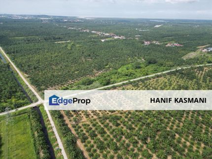 Cheap 7 Acres Agricultural Land Near Residential , Selangor, Kuala Selangor