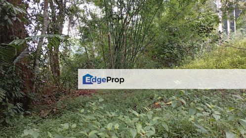 Tanah 4.5ekar, Janda Baik, Pahang for sales, Pahang, Bentong