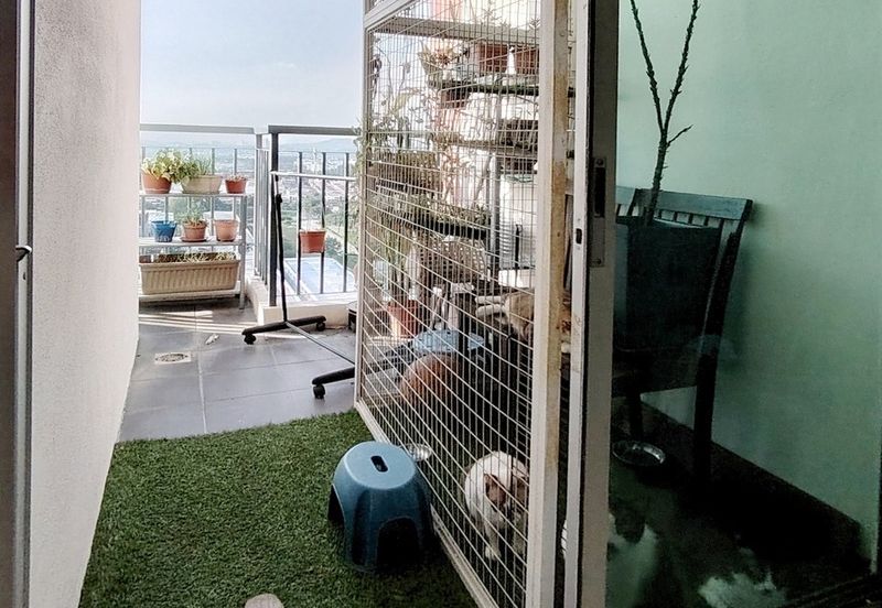 Ascotte Boulevard Condominium