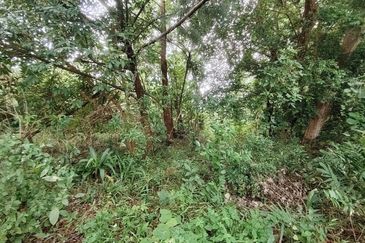 Commercial Land @ Taman Pantai Dickson, Port Dickson