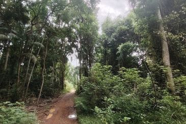 Commercial Land @ Taman Pantai Dickson, Port Dickson