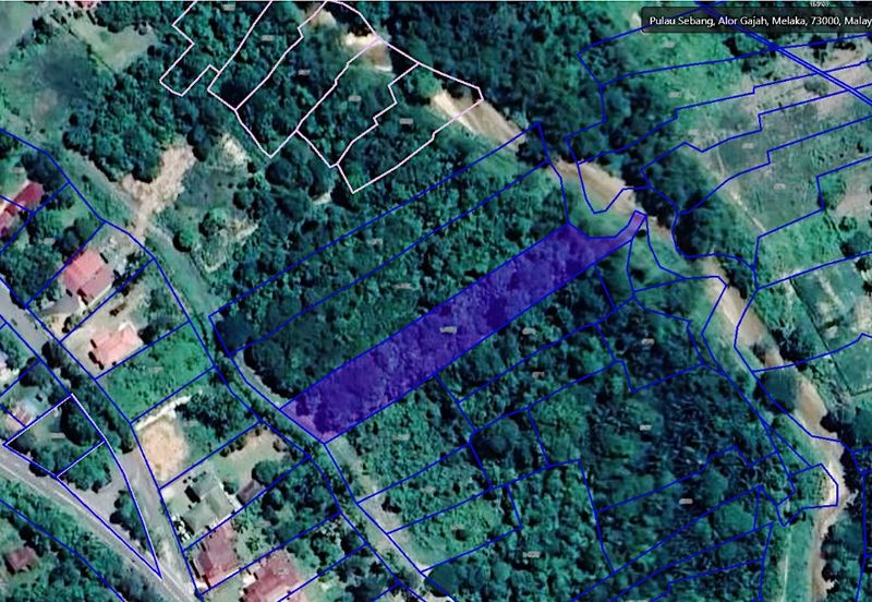 Agricultural Land @ Pulau Sebang, Alor Gajah, Melaka