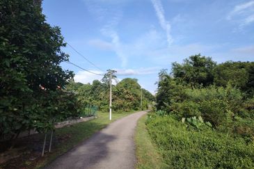 Agricultural Land @ Pulau Sebang, Alor Gajah, Melaka