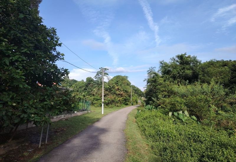 Agricultural Land @ Pulau Sebang, Alor Gajah, Melaka