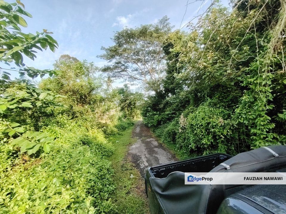 Agricultural Land @ Pulau Sebang, Alor Gajah, Melaka, Melaka, Alor Gajah