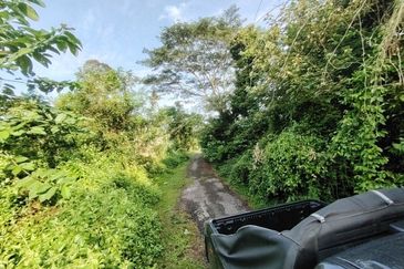 Agricultural Land @ Pulau Sebang, Alor Gajah, Melaka