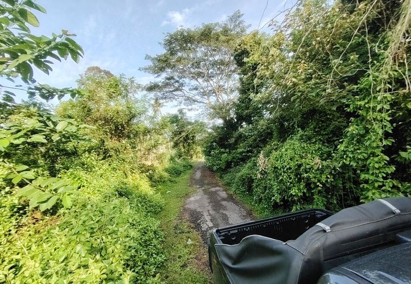 Agricultural Land @ Pulau Sebang, Alor Gajah, Melaka