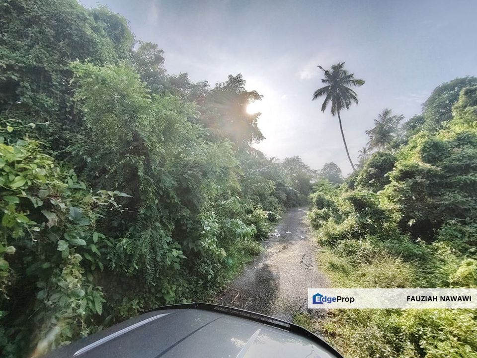 Agricultural Land @ Pulau Sebang, Alor Gajah, Melaka, Melaka, Alor Gajah