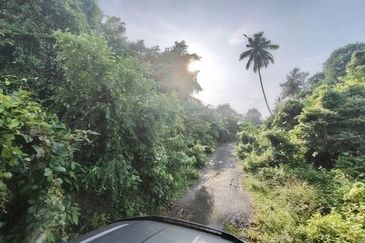 Agricultural Land @ Pulau Sebang, Alor Gajah, Melaka