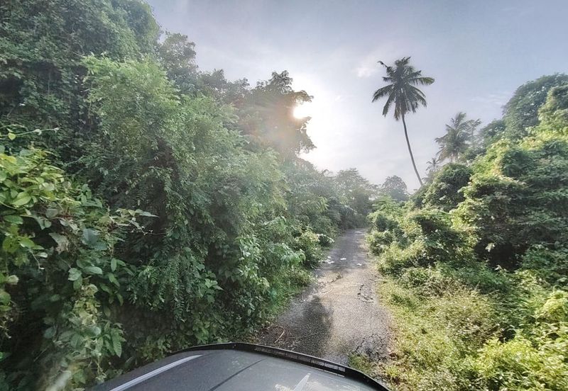 Agricultural Land @ Pulau Sebang, Alor Gajah, Melaka