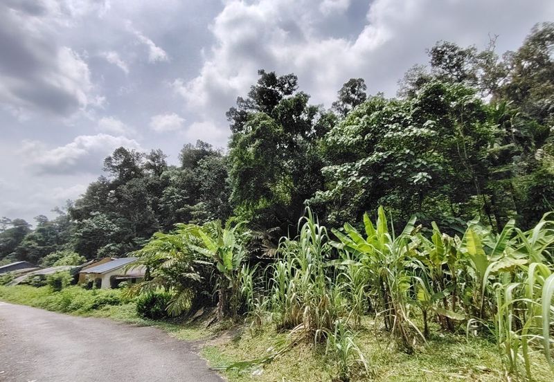 2 Lots of Land (side by side) @ Segambut, Kuala Lumpur 