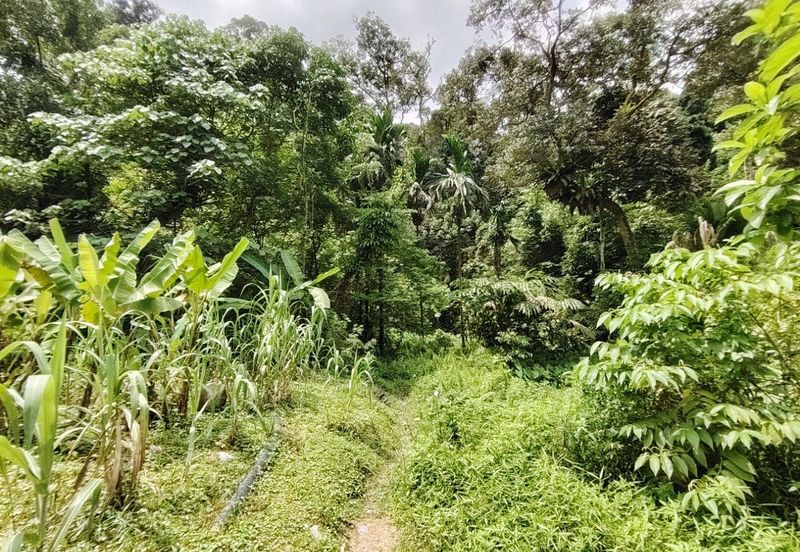 2 Lots of Land (side by side) @ Segambut, Kuala Lumpur 