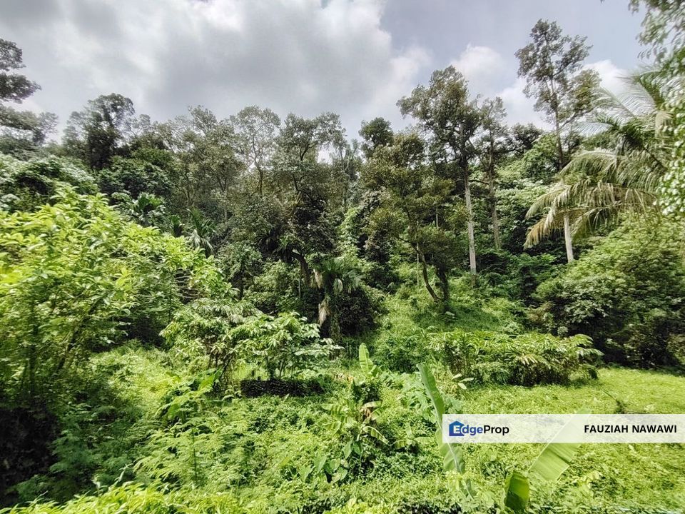 2 Lots of Land (side by side) @ Segambut, Kuala Lumpur , Kuala Lumpur, Segambut