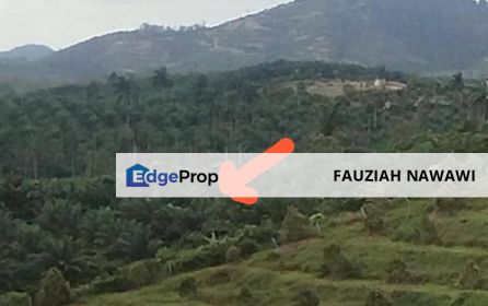 TANAH PERTANIAN UNTUK DIJUA SIMPANG PELANGAI, BENTONG, PAHANG, Pahang, Bentong