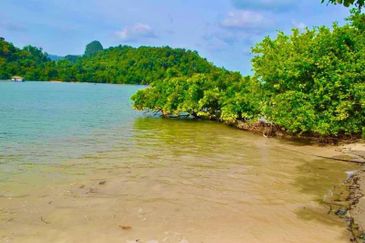[PRIVATE ISLAND] Agricultural Land Pulau Jemuruk, Ayer Hangat, Langkawi For Sale