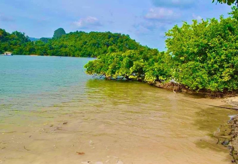[PRIVATE ISLAND] Agricultural Land Pulau Jemuruk, Ayer Hangat, Langkawi For Sale
