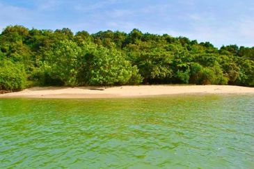 [PRIVATE ISLAND] Agricultural Land Pulau Jemuruk, Ayer Hangat, Langkawi For Sale