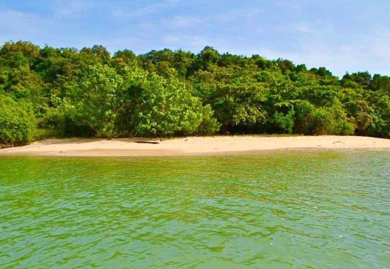 [PRIVATE ISLAND] Agricultural Land Pulau Jemuruk, Ayer Hangat, Langkawi For Sale