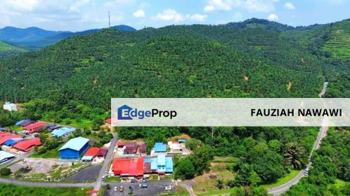 Palm Oil Land for Sale – Kuala Pilah, Negeri Sembilan, Negeri Sembilan, Kuala Pilah