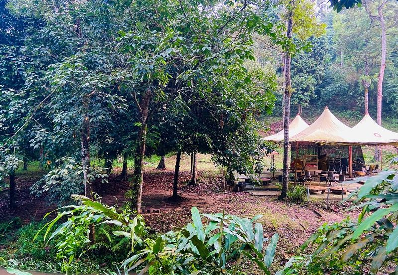 BELOW MARKET VALUE
AGRICULTURE LAND BUKIT LAGONG, SELAYANG