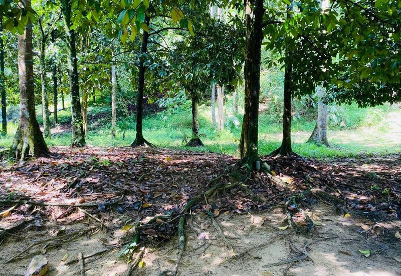 BELOW MARKET VALUE
AGRICULTURE LAND BUKIT LAGONG, SELAYANG