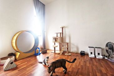 Norton Garden Semi D @ Eco Grandeur