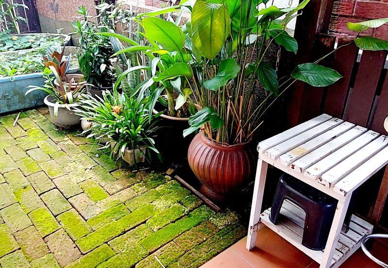 Tropicana Golf & Country Resort