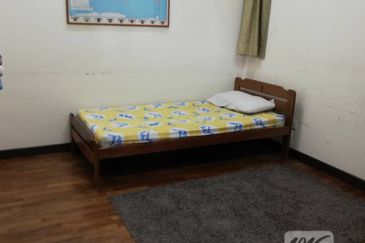 Anggerik Doritis @ Kota Kemuning